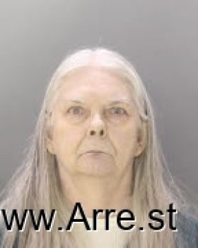 Vicki Lee Vogt Mugshot