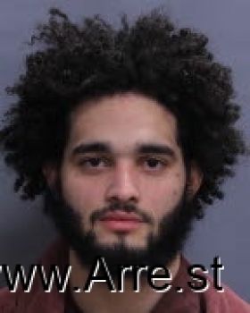 Yadniel  Dejesus-freytas Mugshot