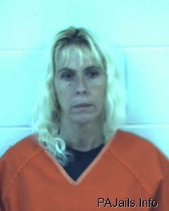 Colleen Danner Arrest Mugshot