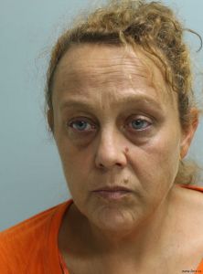 Diana Porterfield Arrest