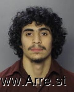 Edwin Astor-roman Arrest Mugshot