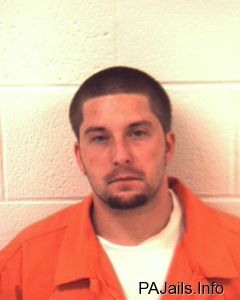 Matthew Freed Arrest