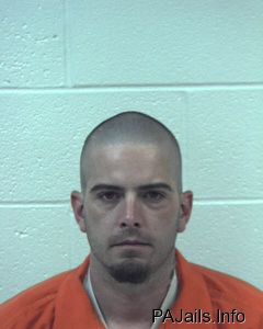 Michael Stein Arrest