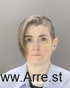 Terri Hodel Arrest Mugshot