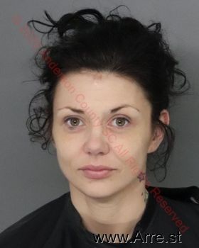 Angela Rene Aiken Mugshot