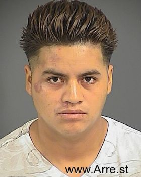 Adolfo  Velasquez-bravo Mugshot