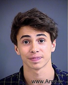 Alexander  Kesseler Mugshot