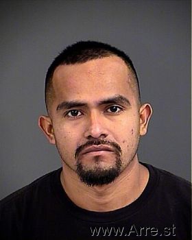 Alfredo  Hernandez-guzman Mugshot