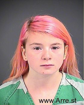 Alyssa Vawn Long Mugshot