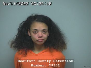 Amber Nicole Chapman Mugshot