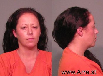 Amy Michelle Cook Mugshot