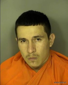 Andres  Acosta Zanella Mugshot