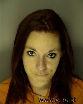 Ashley Rabon Collins Mugshot