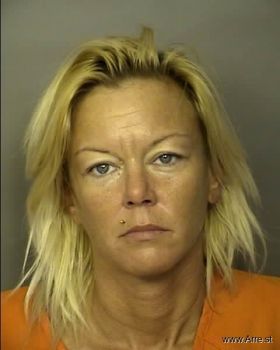 Ashley Elizabeth Holt Mugshot