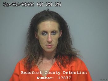 Ashley Michelle Kight Mugshot