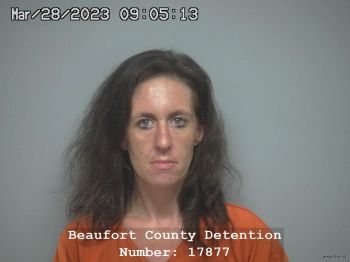 Ashley Michelle Kight Mugshot