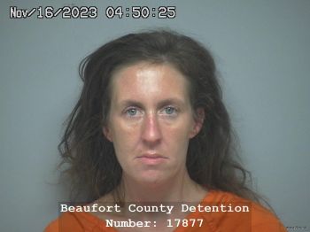 Ashley Michelle Kight Mugshot