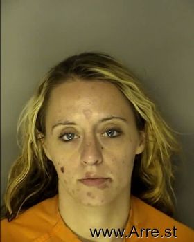 Ashley Michelle Medlin Mugshot