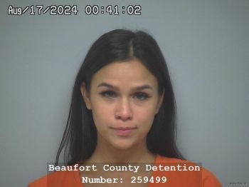 Ashley Nicole Rule-silveira Mugshot