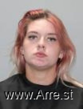 Brandi Michelle Collins Mugshot