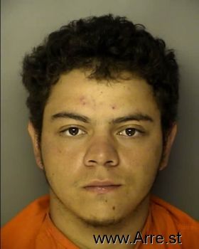 Brandon Lee Locklear Mugshot