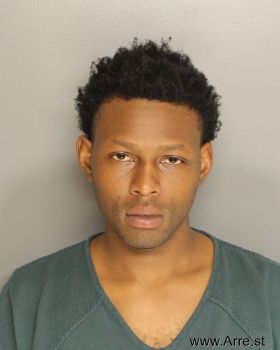 Brandon J. Nelson Mugshot