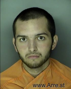 Brandon Michael Sosebee Mugshot