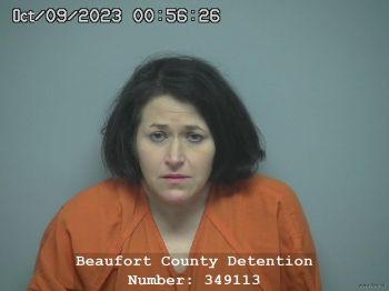 Brandy Nicole Johnson Mugshot