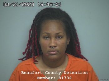 Brittani Bernik Obie Mugshot