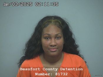 Brittani Bernik Obie Mugshot