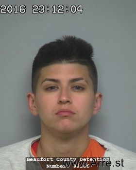 Brittany L Flores Mugshot