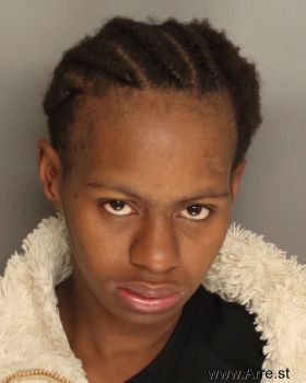 Brittany Marquett Williams Mugshot