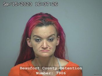 Brittany Deann Wilson Mugshot