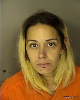 Brittany Lynn Wolfe Mugshot