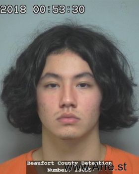 Cade Petar Suginaka Mugshot