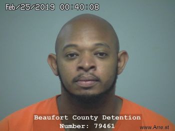 Chadrick Arsonal Johnson Mugshot