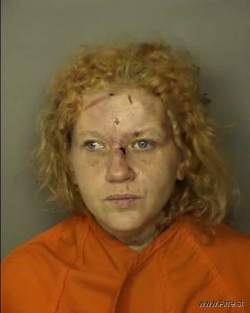 Christina Michelle Daniels Mugshot