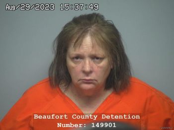 Christine Lynn Anderson Mugshot