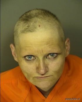 Christy Lynn Williams Mugshot