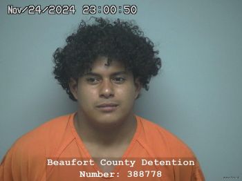 Cristian Oveniel Santos Portillo Mugshot