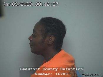 Crystal Elizabeth Howard Mugshot