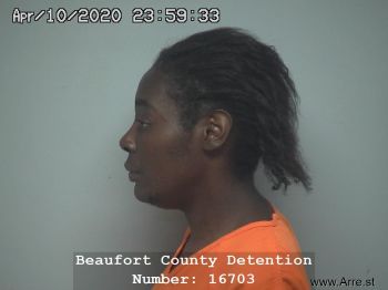 Crystal Elizabeth Howard Mugshot