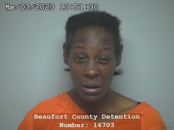 Crystal Elizabeth Howard Mugshot