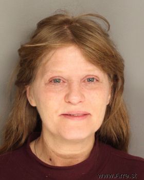 Cynthia Lynn Skinner Mugshot