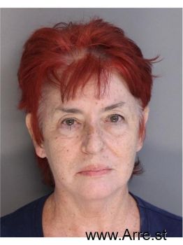 Donna  Lovinger Fellin Mugshot