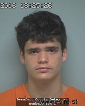 Dakota James Johnson Mugshot