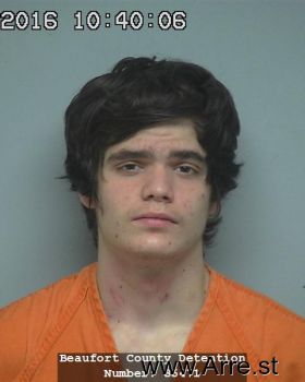 Dakota James Johnson Mugshot