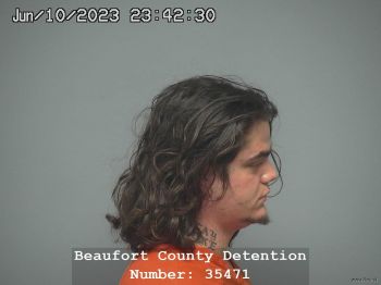 Dakota James Johnson Mugshot