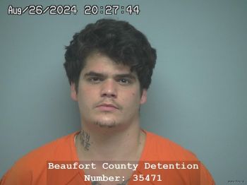 Dakota James Johnson Mugshot