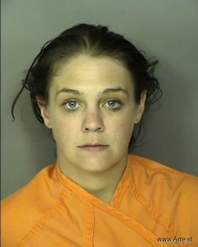 Danielle Marie Babbitt Mugshot